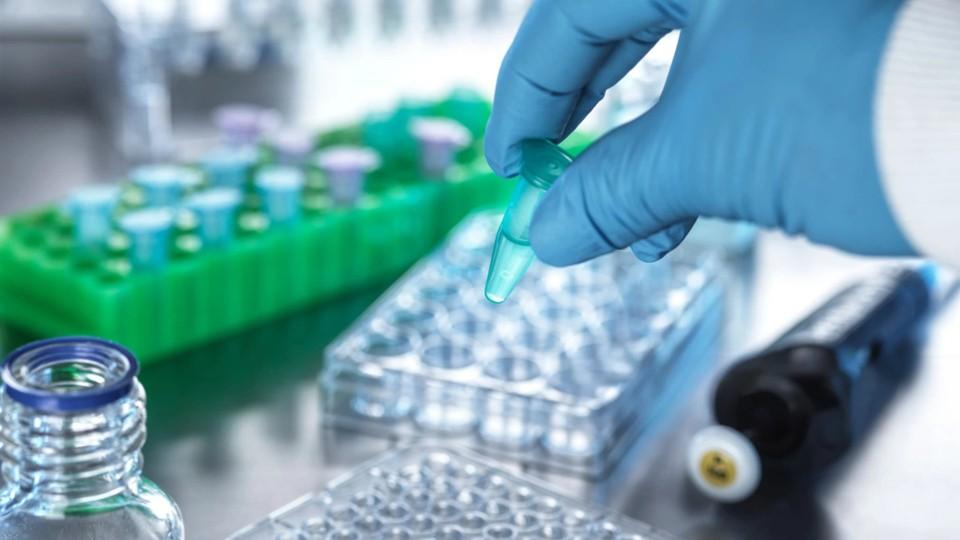 Pipettes and test tubes in a lab
