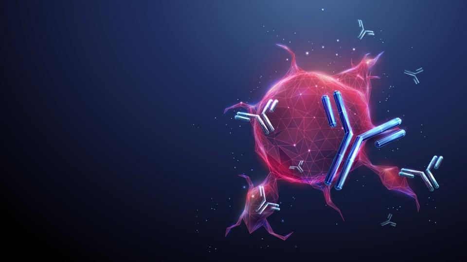 Precision oncology aided by AI