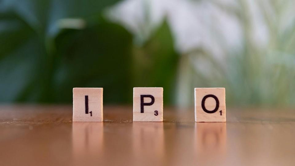 IPO in wooden blocks on table with green foliage blurred in background
