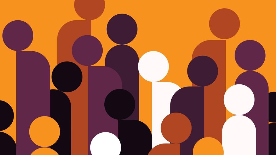 Graphic representation of human diversity