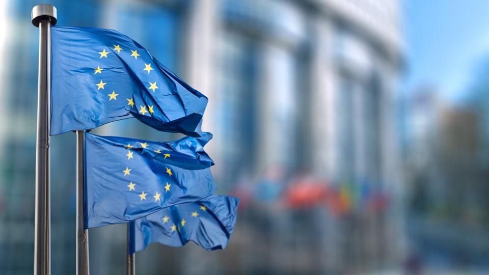 EU flags