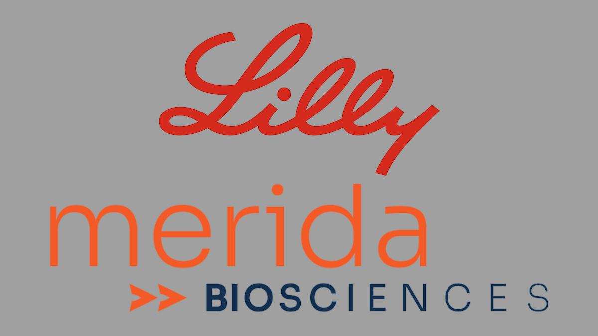 Acquisitive Lilly offers $2.88bn for Merida Bio