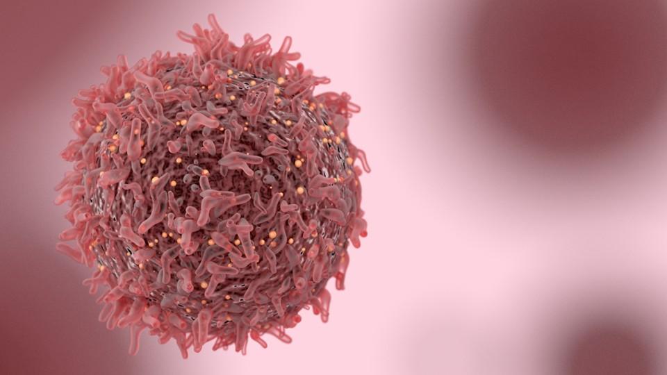 Cancer cell