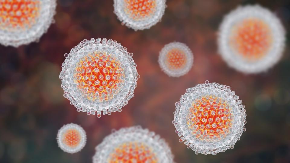Hepatitis C virus