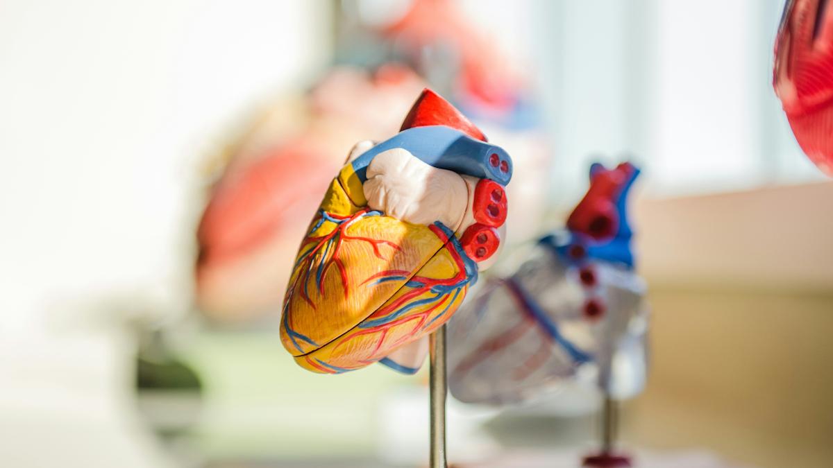 Tenax trounced by phase 3 heart failure readout