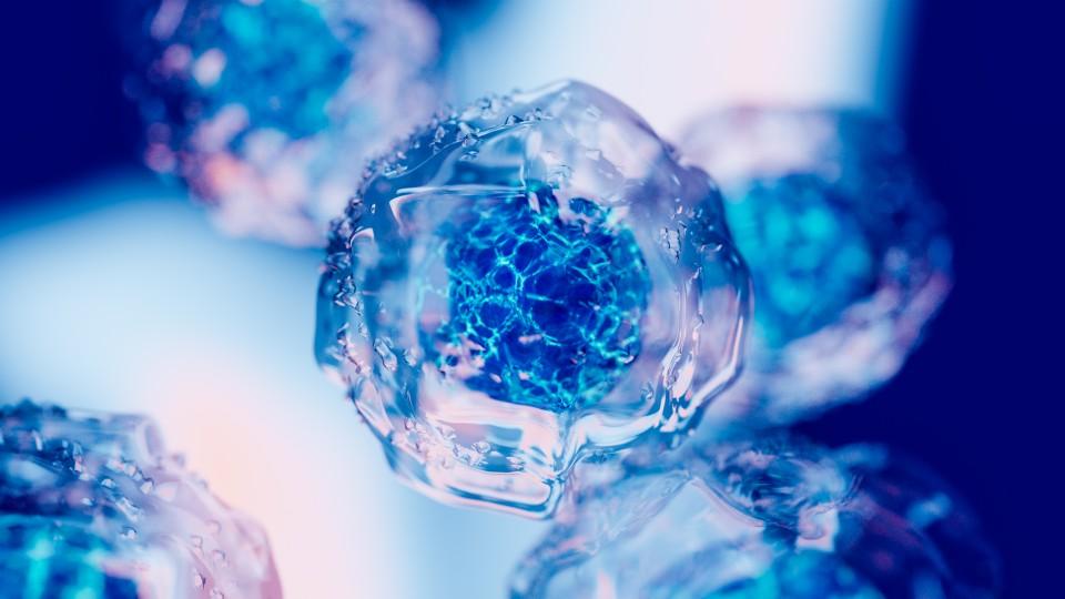 Representation of embryonic stem cells