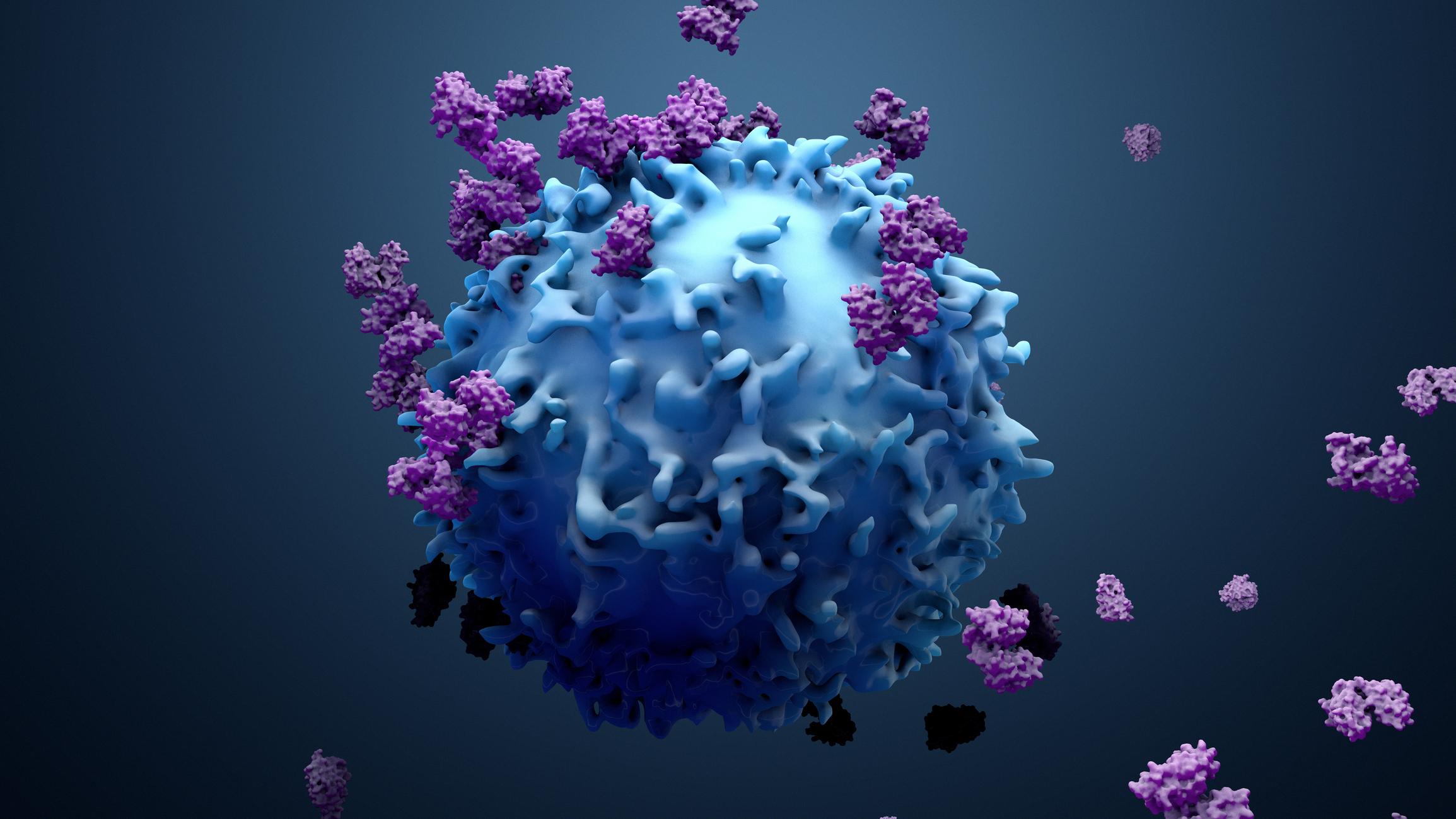 Cancer cell and T-cells