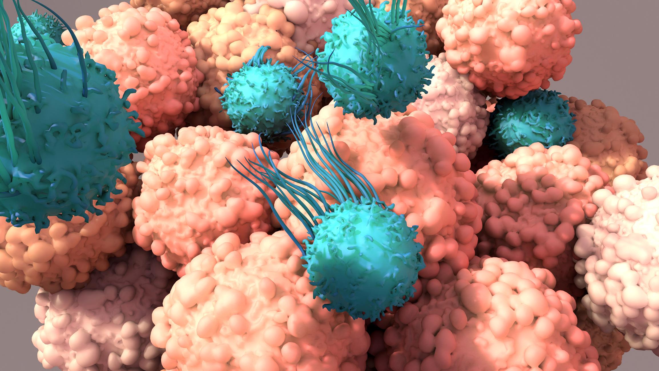 T-cells in action