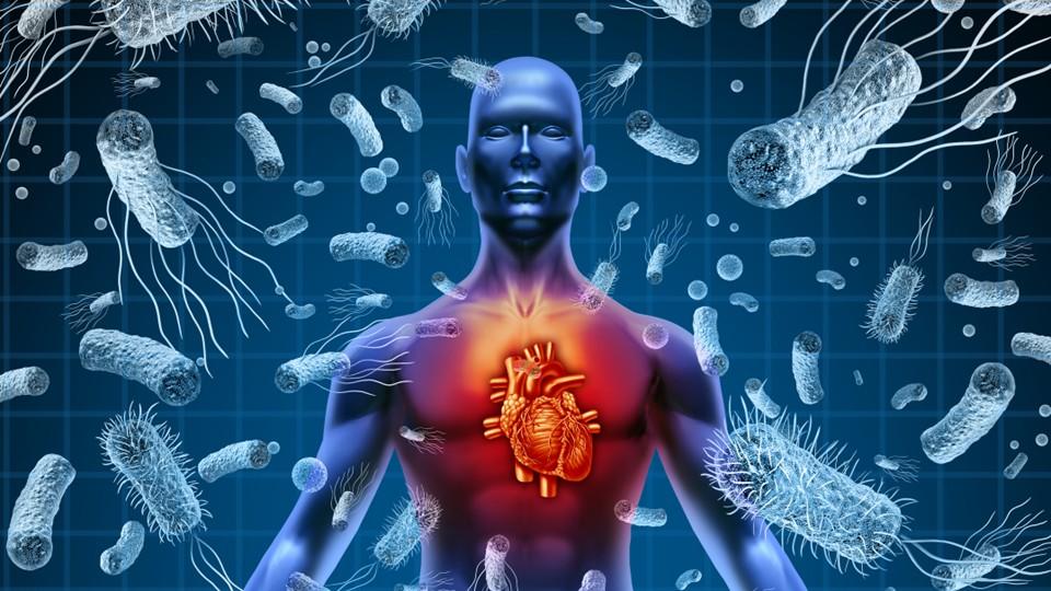 Digital representation of sepsis bacteria attacking heart