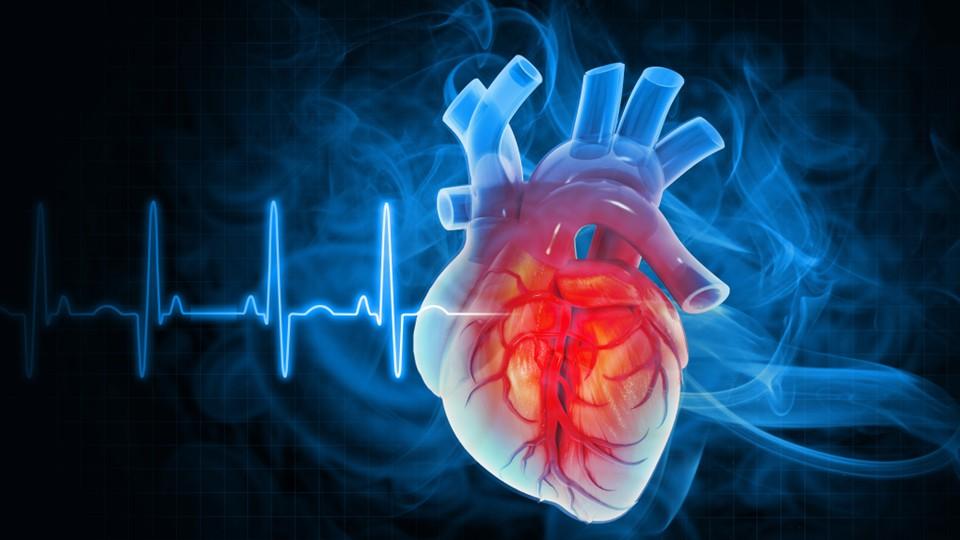 Heart on ECG digital graphic