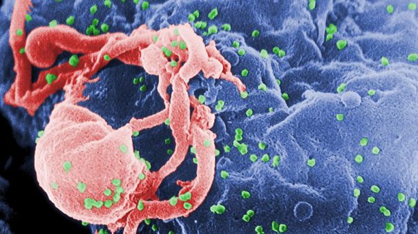 Charity raises funds for legal fight over HIV drug