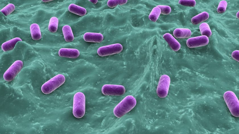 AZ's Zavicefta antibiotic approved in Europe