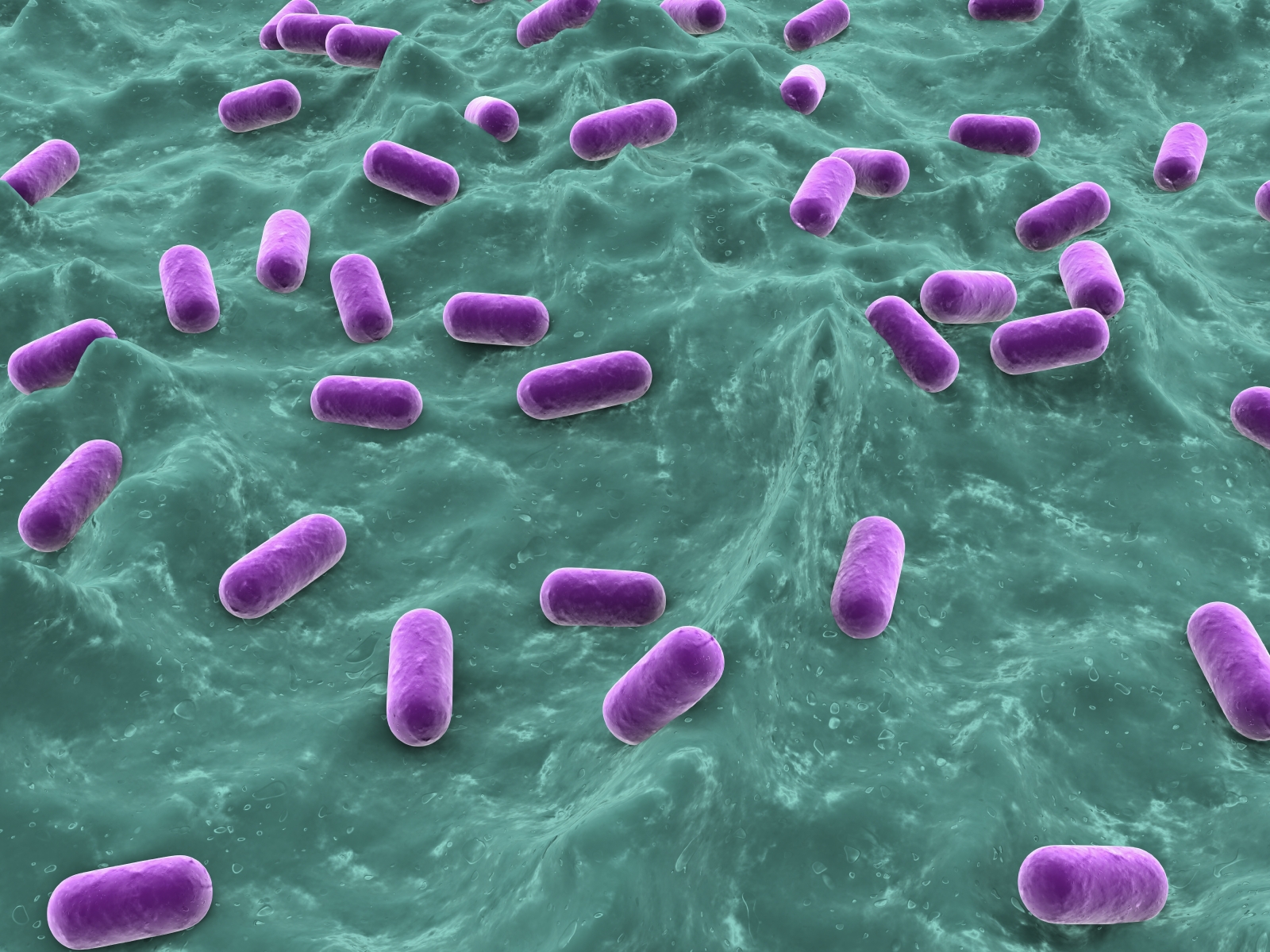 Bacteria-generic-3