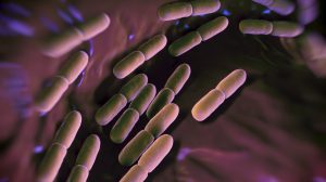 Ferring’s gut microbiome drug clears phase 3 trial in C. diff