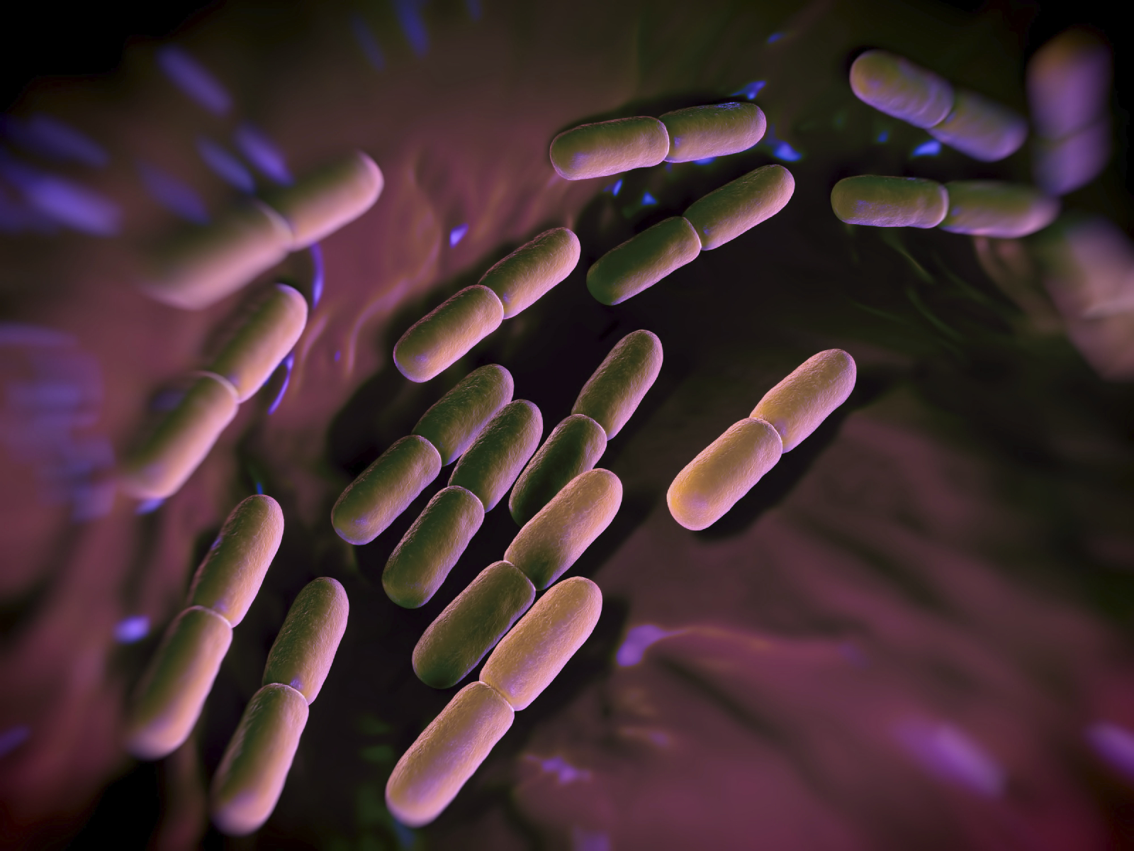 Bacteria-generic-5