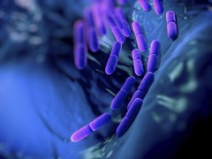 Brexit Health Alliance warns on infection threat