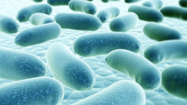 PureTech’s Vedanta raises $27m for microbiome research