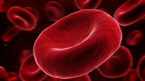 Trial sets up filings for uniQure’s haemophilia gene therapy