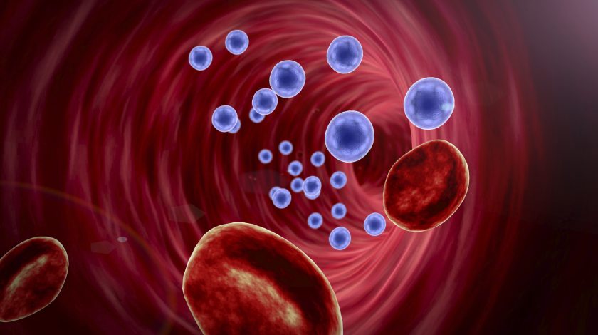 Nkarta leaps on early CAR-NK data in blood cancers - Essentials