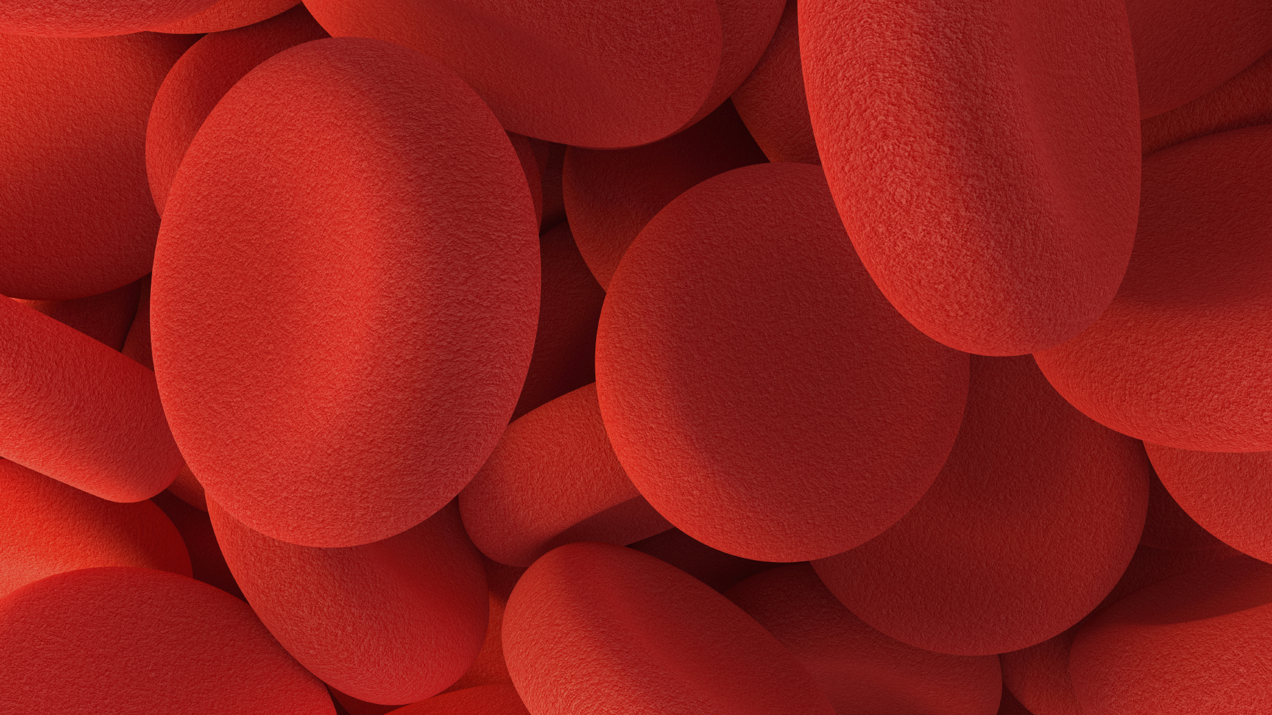 Red blood cells