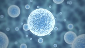 Mesoblast poised to file cell therapy for GVHD in US