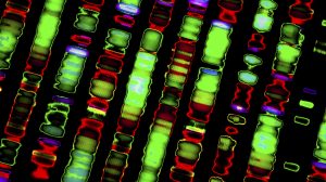 Sophia Genetics unveils latest ‘genome browser’ software