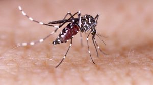 Tanaka develops world’s first blood test for Zika virus