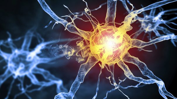Neurocrine and Xenon agree $1.75bn epilepsy R&D tie-up