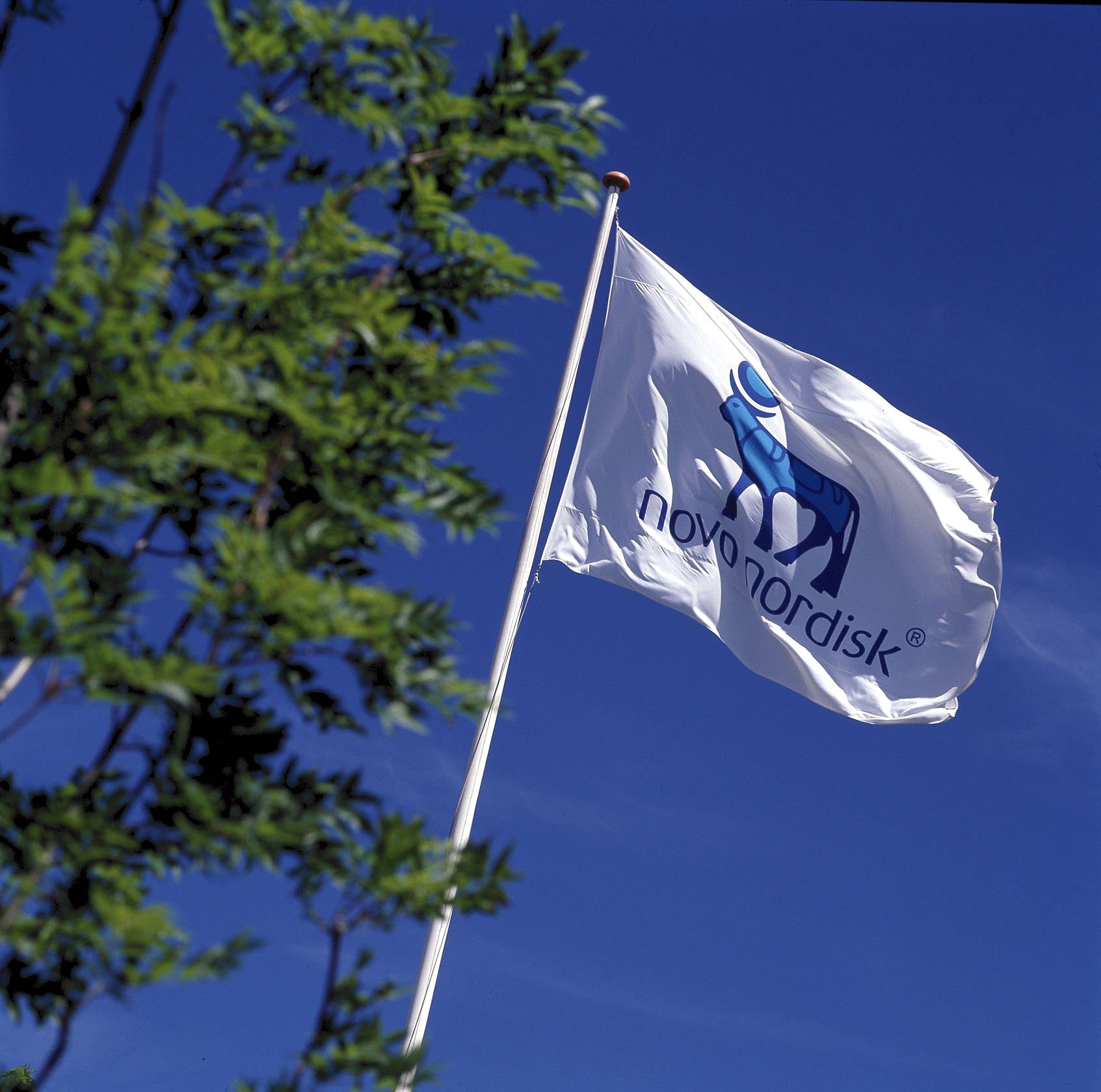 Novo Nordisk HQ flag hires
