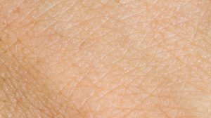 Background of the human skin. macro