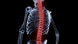 UCB licenses AI tech for spinal fracture detection to ImageBiopsy