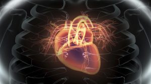 MSD and Bayer launch big gamble on heart failure candidate