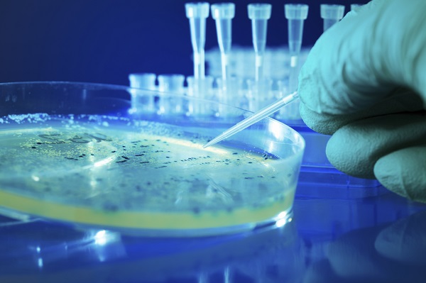 Basilea preps key US filing for MRSA antibiotic ceftobiprole