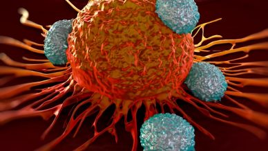 Cancer attacked by T cells 600