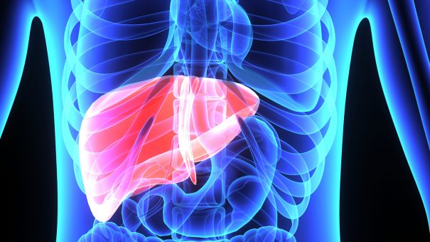 DS Biopharma launches liver drug spin-out