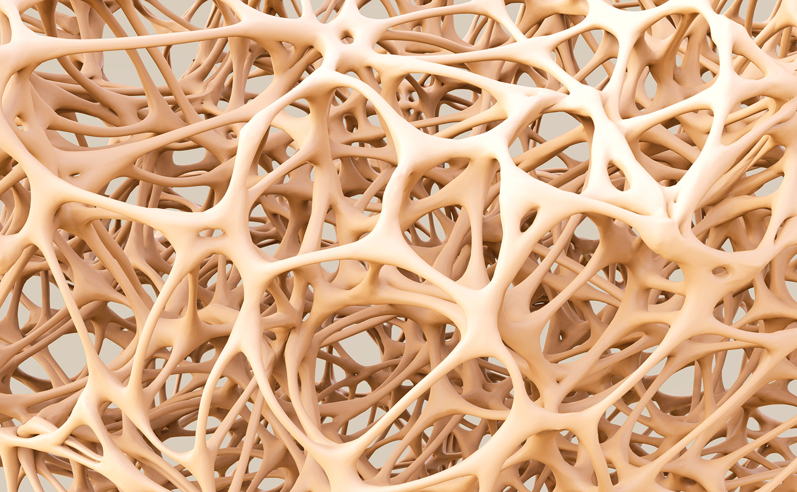 abstract shapes, bone structure, 3d render, bone