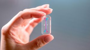 ‘Organs-on-chips’ developer Emulate seeks drug testing revolution