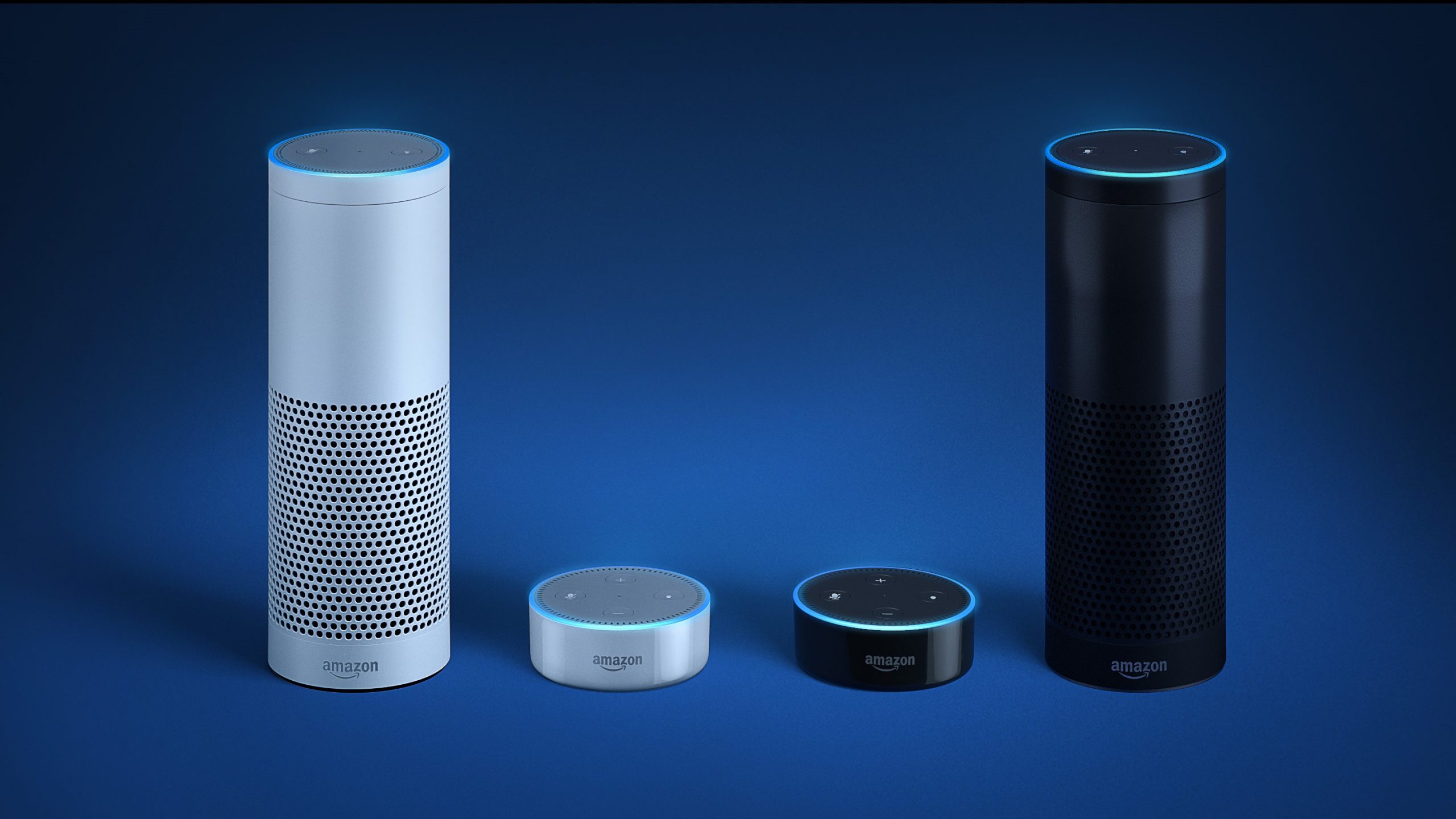 Amazon Alexa Echo