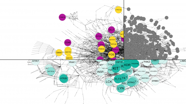 The Simulated Cell Can A Digital Model Aid Cancer Drug Discovery