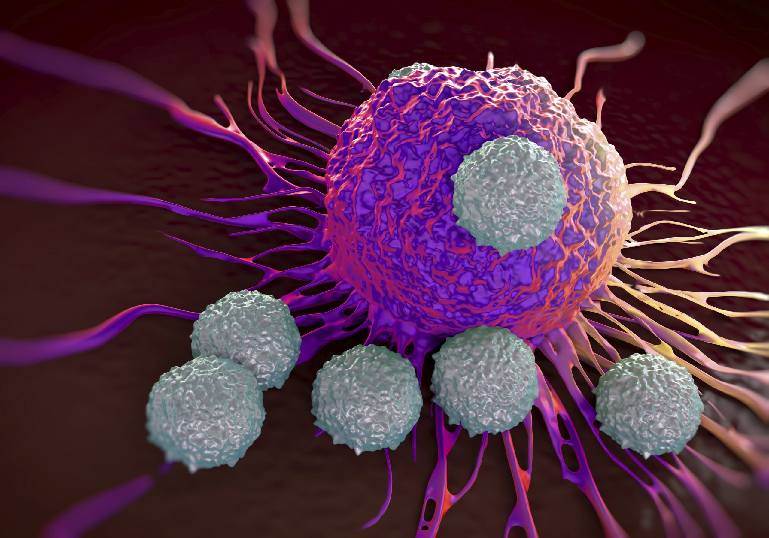 T-cells attacking cancer cell  illustration of  microscopic photos