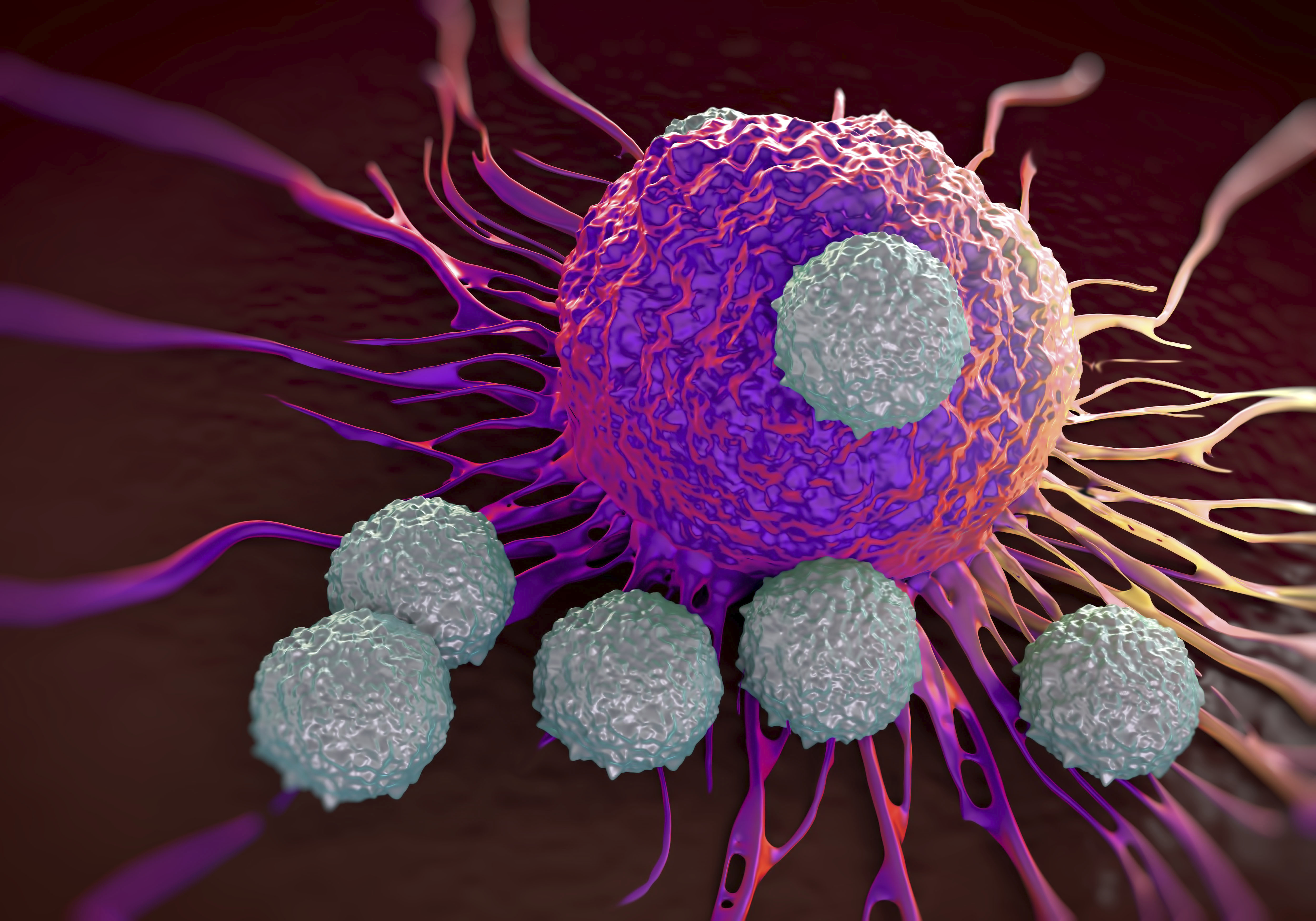 T-cells attacking cancer cell  illustration of  microscopic photos