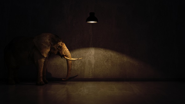 elephant in the room near wall. Creative concept