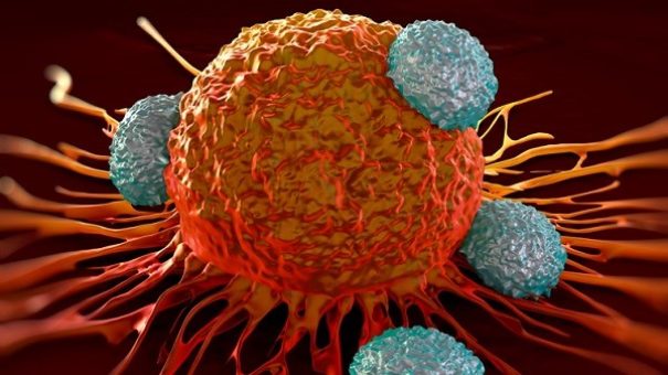 cancer-t-cells-16_9