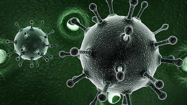 Hepatitis Virus - 3d rendered illustration