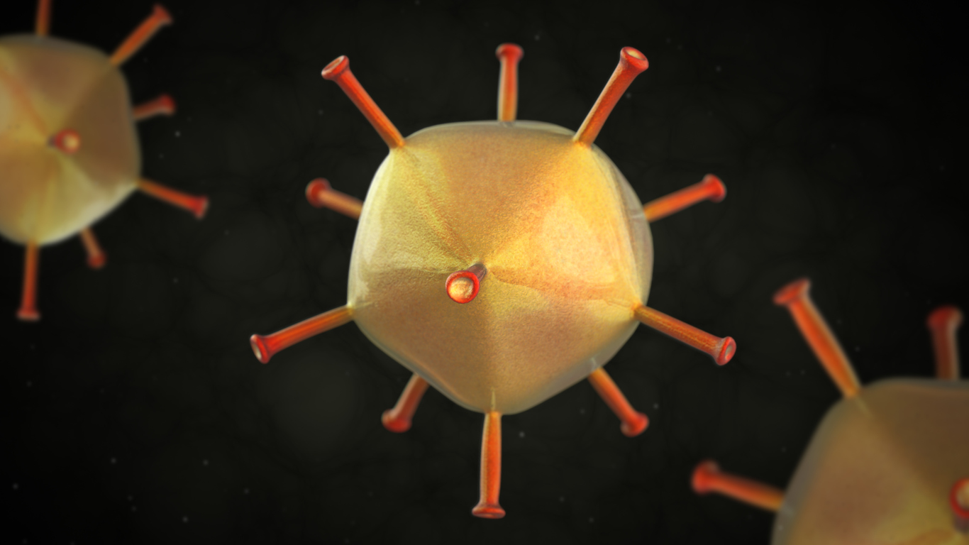 3D generated close up of adenovirus  virus