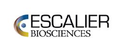 Escalier raises $19m to fund novel psoriasis pill