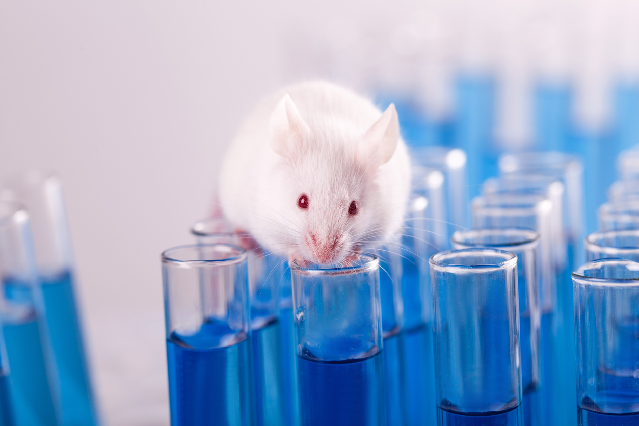 Laboratory Mouse with Test Tubes