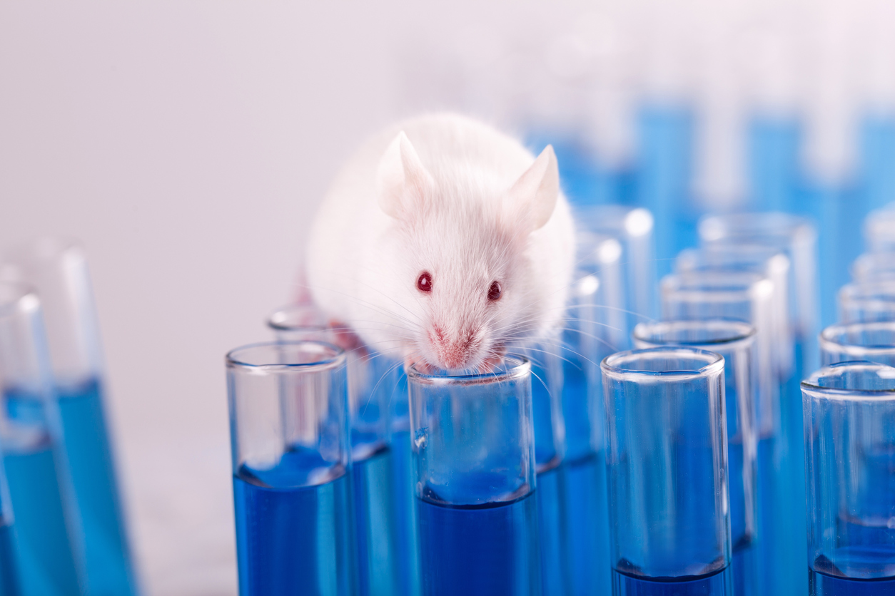 major-study-to-hopefully-lead-to-reduced-animal-testing-by-drug