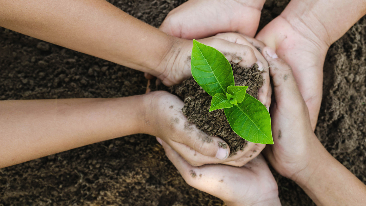 Growing concept eco Group three hand  children planting together