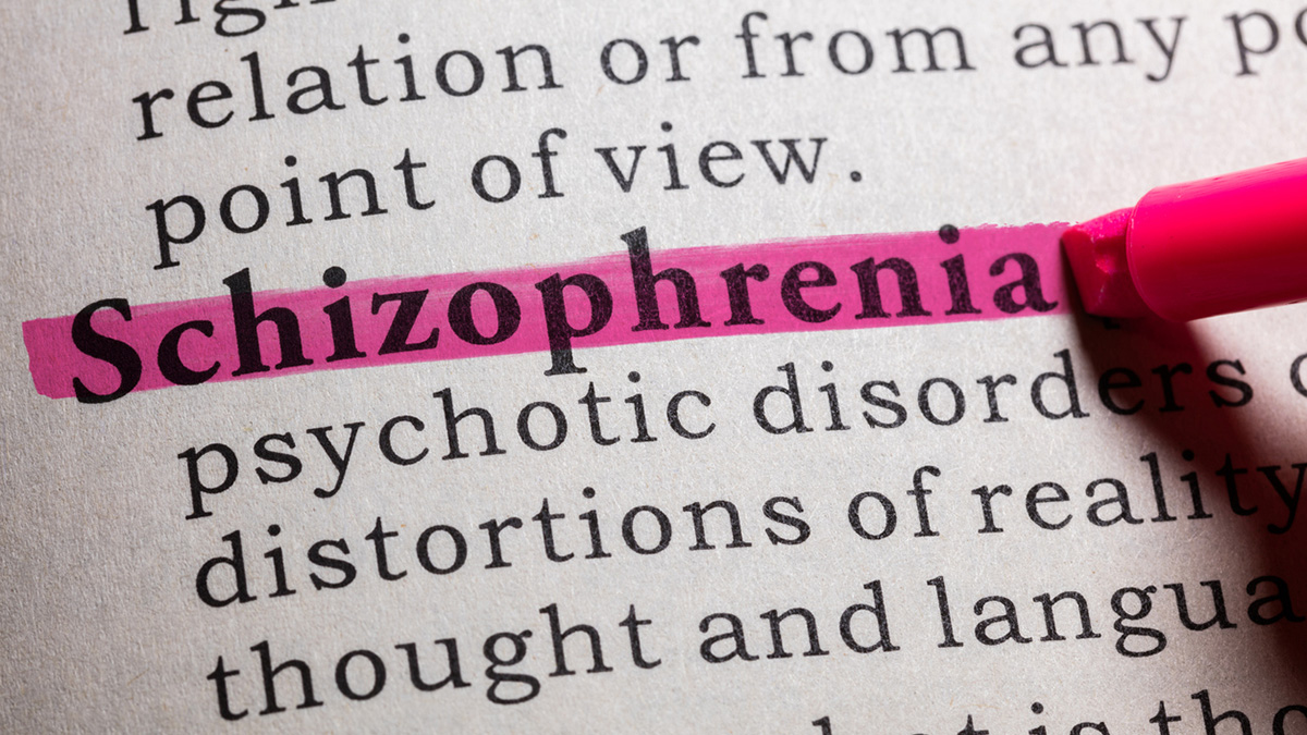 <p>Fake Dictionary, Dictionary definition of the word Schizophrenia.</p>